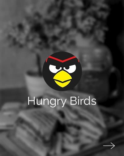Hungry Birds brand card, fast food photography by Qaurus